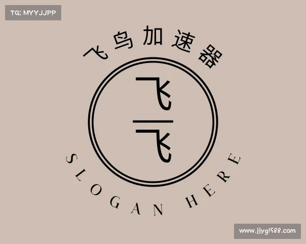 解读飞鸟加速器