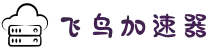 飞鸟加速器【官方网站】| 稳定通道，便捷连接全球